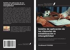 Bookcover of Ámbito de aplicación de las cláusulas de estabilización e intangibilidad