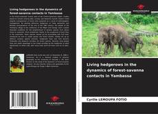 Borítókép a  Living hedgerows in the dynamics of forest-savanna contacts in Yambassa - hoz