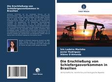 Portada del libro de Die Erschließung von Schiefergasvorkommen in Brasilien