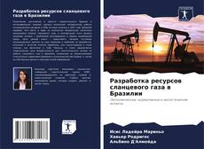 Bookcover of Разработка ресурсов сланцевого газа в Бразилии