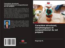 Caractère structurel, morphologique et compositionnel du sol préparé的封面