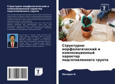 Bookcover of Структурно-морфологический и композиционный характер подготовленного грунта