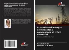 Обложка Produzione di energia elettrica dalla combustione di rifiuti domestici