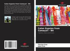 Buchcover von Calon Gypsies from Camaçari - BA