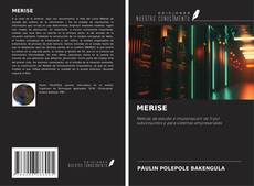 Copertina di MERISE