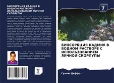 БИОСОРБЦИЯ КАДМИЯ В ВОДНОМ РАСТВОРЕ С ИСПОЛЬЗОВАНИЕМ ЯИЧНОЙ СКОРЛУПЫ的封面