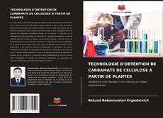 Bookcover of TECHNOLOGIE D'OBTENTION DE CARBAMATE DE CELLULOSE À PARTIR DE PLANTES