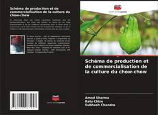 Couverture de Schéma de production et de commercialisation de la culture du chow-chow