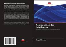 Обложка Reproduction des holothuries