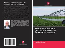Políticas públicas e gestão dos recursos hídricos na Tunísia kitap kapağı
