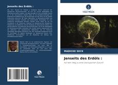 Capa do livro de Jenseits des Erdöls : 