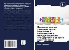 Buchcover von Правовая защита уязвимых групп населения в соответствии с международными стандартами в области прав человека