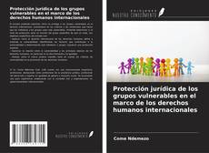 Capa do livro de Protección jurídica de los grupos vulnerables en el marco de los derechos humanos internacionales 