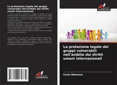 Copertina di La protezione legale dei gruppi vulnerabili nell'ambito dei diritti umani internazionali