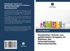 Capa do livro de Rechtlicher Schutz von gefährdeten Gruppen im Rahmen der internationalen Menschenrechte 