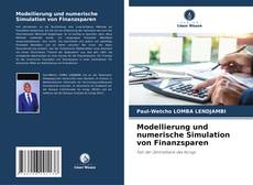 Modellierung und numerische Simulation von Finanzsparen kitap kapağı