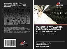 QUESTIONI ATTUALI NEL PANORAMA AZIENDALE POST-PANDEMICO kitap kapağı