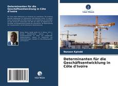 Portada del libro de Determinanten für die Geschäftsentwicklung in Côte d'Ivoire