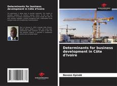 Buchcover von Determinants for business development in Côte d'Ivoire