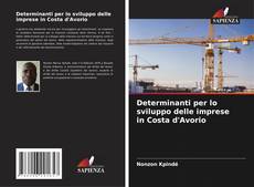Determinanti per lo sviluppo delle imprese in Costa d'Avorio kitap kapağı