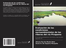 Couverture de Evaluación de las condiciones socioambientales de las riberas del río Pirapama