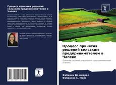 Buchcover von Процесс принятия решений сельским предпринимателем в Чапеко