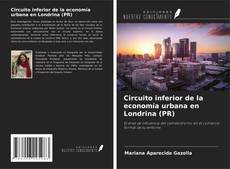 Buchcover von Circuito inferior de la economía urbana en Londrina (PR)