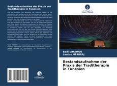 Bestandsaufnahme der Praxis der Traditherapie in Tunesien kitap kapağı