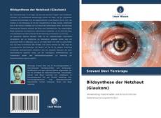 Capa do livro de Bildsynthese der Netzhaut (Glaukom) 