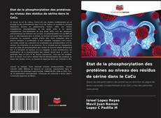 État de la phosphorylation des protéines au niveau des résidus de sérine dans le CaCu的封面