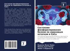 Buchcover von Состояние фосфорилирования белков по сериновым остаткам в CaCu