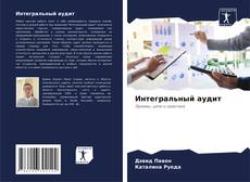 Buchcover von Интегральный аудит