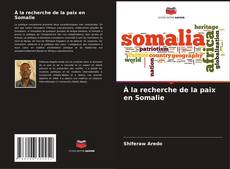 À la recherche de la paix en Somalie kitap kapağı