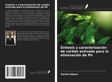 Bookcover of Síntesis y caracterización de carbón activado para la eliminación de Pb