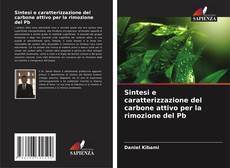 Bookcover of Sintesi e caratterizzazione del carbone attivo per la rimozione del Pb
