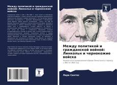 Между политикой и гражданской войной: Линкольн и чернокожие войска kitap kapağı