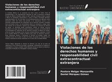 Violaciones de los derechos humanos y responsabilidad civil extracontractual extranjera kitap kapağı