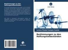 Bestimmungen zu den Haftungstatbeständen kitap kapağı