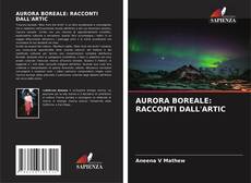 AURORA BOREALE: RACCONTI DALL'ARTIC kitap kapağı