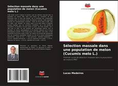 Sélection massale dans une population de melon (Cucumis melo L.) kitap kapağı