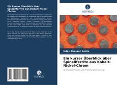 Обложка Ein kurzer Überblick über Spinellferrite aus Kobalt-Nickel-Chrom