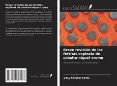 Buchcover von Breve revisión de las ferritas espinela de cobalto-níquel-cromo