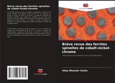 Brève revue des ferrites spinelles de cobalt-nickel-chrome kitap kapağı