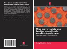 Borítókép a  Uma breve revisão das ferritas espinélio de cobalto-níquel-cromo - hoz