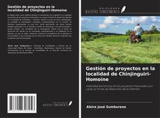Bookcover of Gestión de proyectos en la localidad de Chinjinguiri-Homoíne