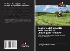 Bookcover of Gestione del progetto nella località di Chinjinguiri-Homoíne