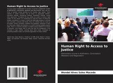 Portada del libro de Human Right to Access to Justice