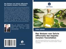 Capa do livro de Der Nutzen von Salvia officinalis bei hepato-renalen Toxizitäten 