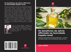 Bookcover of Os benefícios da sálvia officinale na toxicidade hepato-renal