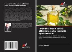 Bookcover of I benefici della salvia officinale sulla tossicità epato-renale